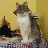 Отзыв от Антонина Кононова